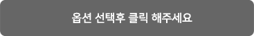 옵션 선택 완료